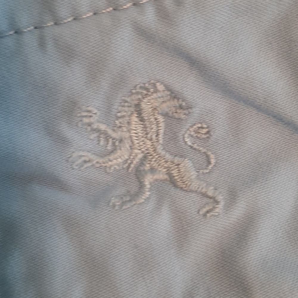 Express Shorts - Picture 4 of 4